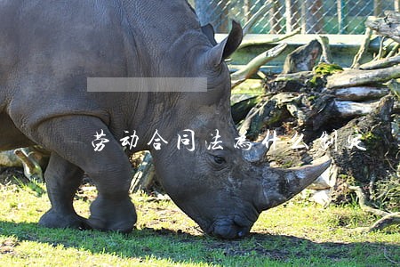 劳动合同法为什么制定 劳动合同法为什么制定