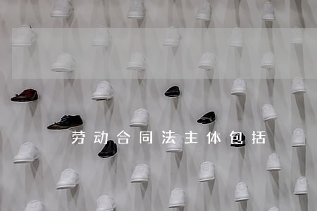 劳动合同法主体包括 劳动合同法主体包括