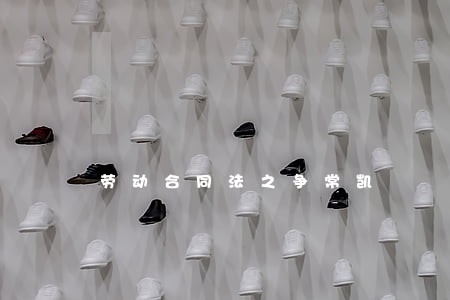 劳动合同法之争常凯 劳动合同法之争常凯