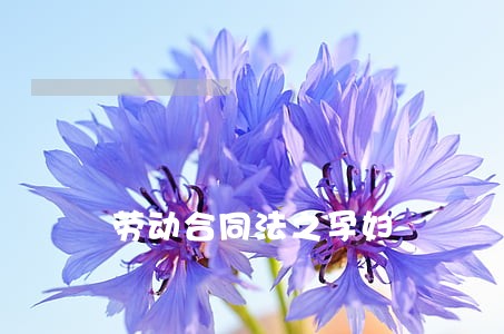 劳动合同法之孕妇 劳动合同法之孕妇