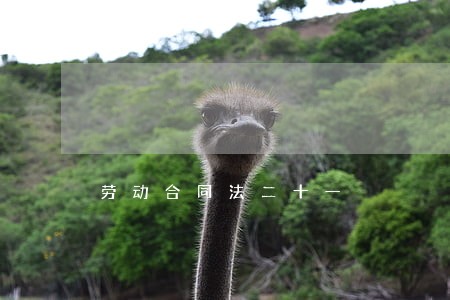 劳动合同法二十一 劳动合同法二十一