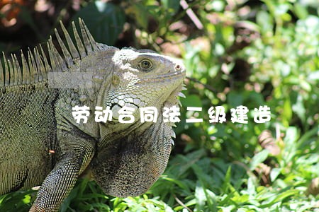 劳动合同法二级建造 劳动合同法二级建造