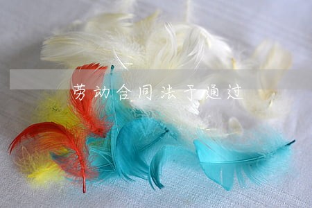 劳动合同法于通过 劳动合同法于通过