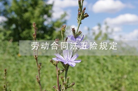 劳动合同法五险规定 劳动合同法五险规定