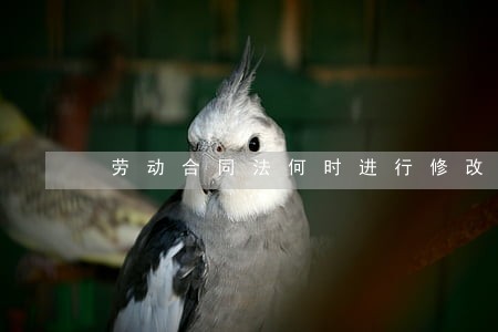 劳动合同法何时进行修改 劳动合同法何时进行修改