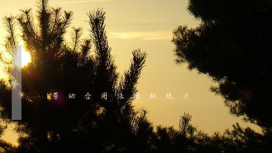 劳动合同法侵权统计 劳动合同法侵权统计