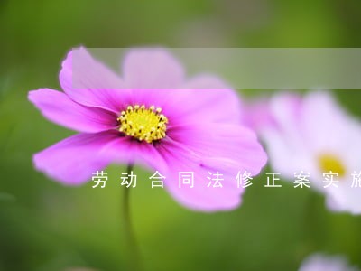 劳动合同法修正案实施 劳动合同法修正案实施