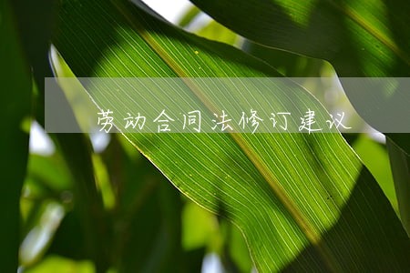 劳动合同法修订建议 劳动合同法修订建议