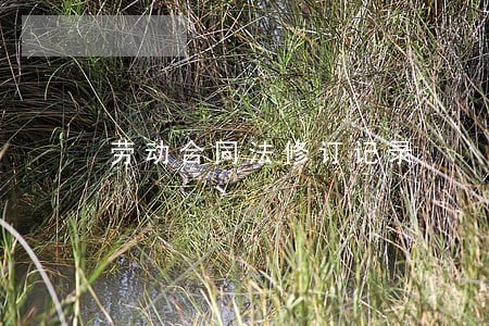 劳动合同法修订记录 劳动合同法修订记录