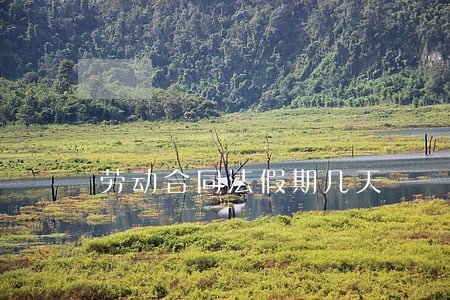 劳动合同法假期几天 劳动合同法假期几天