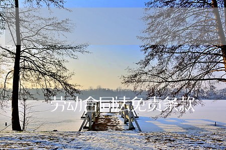 劳动合同法免责条款 劳动合同法免责条款