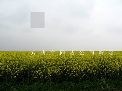 劳动合同法公司解除