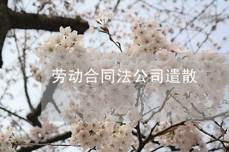 劳动合同法公司遣散 劳动合同法公司遣散