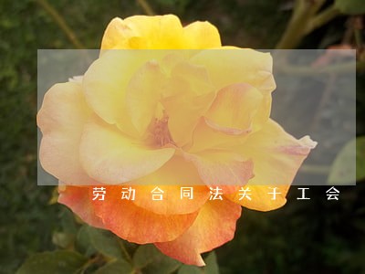 劳动合同法关于工会 劳动合同法关于工会
