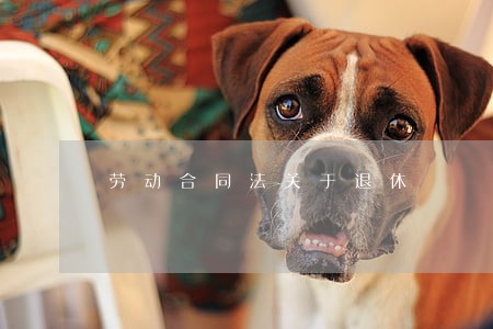 劳动合同法关于退休 劳动合同法关于退休