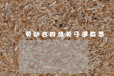 劳动合同法关于遣散费 劳动合同法关于遣散费