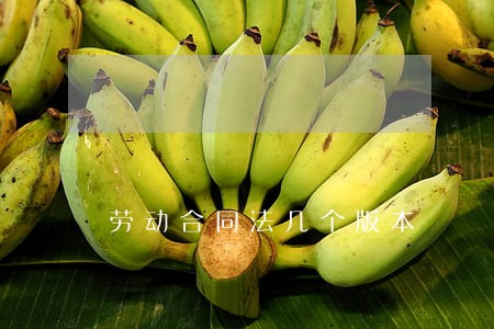 劳动合同法几个版本 劳动合同法几个版本