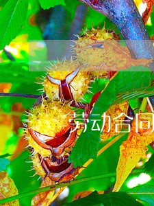劳动合同法出台时间 劳动合同法出台时间