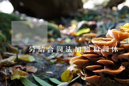 劳动合同法加班和调休 劳动合同法加班和调休