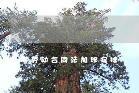 劳动合同法加班安排 劳动合同法加班安排