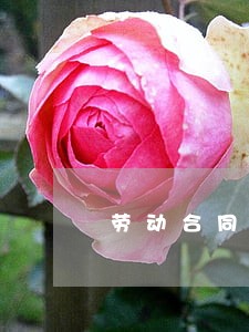 劳动合同法加班费时间 劳动合同法加班费时间