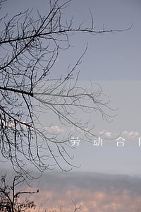 劳动合同法劳务口头 劳动合同法劳务口头