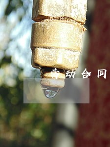 劳动合同法劳动者 劳动合同法劳动者