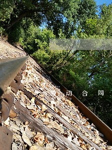 劳动合同法劳动自由 劳动合同法劳动自由