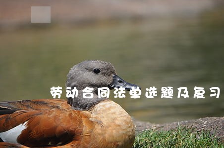 劳动合同法单选题及复习资料 劳动合同法单选题及复习资料