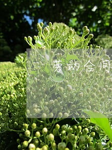 劳动合同法即时辞职