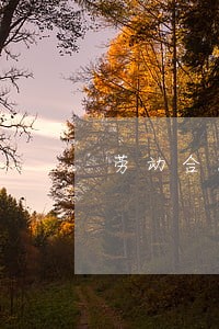 劳动合同法双倍补偿金