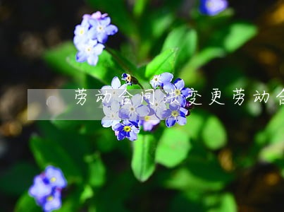 劳动合同法变更劳动合同 劳动合同法变更劳动合同