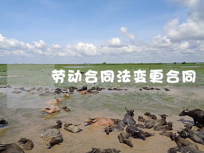 劳动合同法变更合同 劳动合同法变更合同