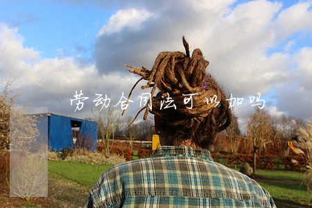 劳动合同法可以加吗 劳动合同法可以加吗