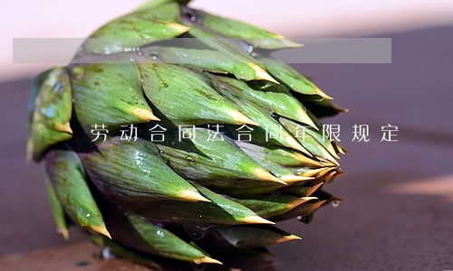 劳动合同法合同年限规定 劳动合同法合同年限规定