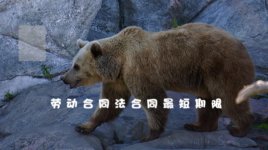 劳动合同法合同最短期限 劳动合同法合同最短期限
