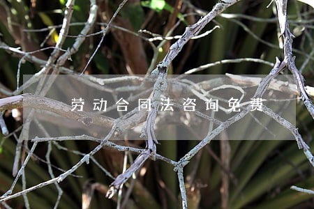 劳动合同法咨询免费 劳动合同法咨询免费