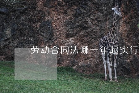 劳动合同法哪一年起实行 劳动合同法哪一年起实行