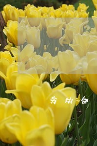 劳动合同法哪年公布的