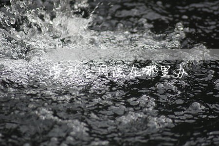 劳动合同法在哪里办 劳动合同法在哪里办