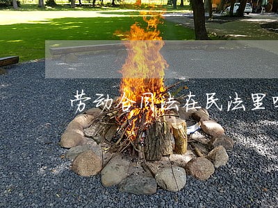 劳动合同法在民法里吗 劳动合同法在民法里吗