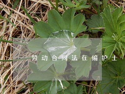 劳动合同法在编护士 劳动合同法在编护士