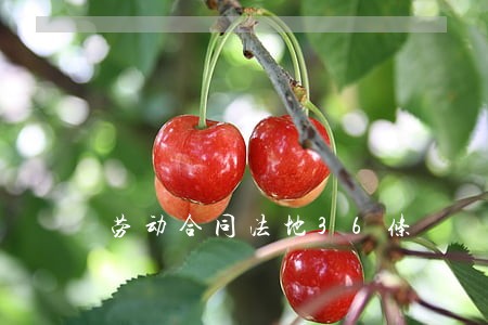 劳动合同法地36条 劳动合同法地36条