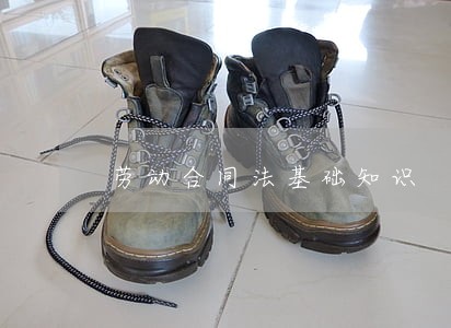劳动合同法基础知识 劳动合同法基础知识