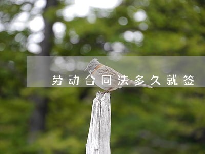 劳动合同法多久就签 劳动合同法多久就签