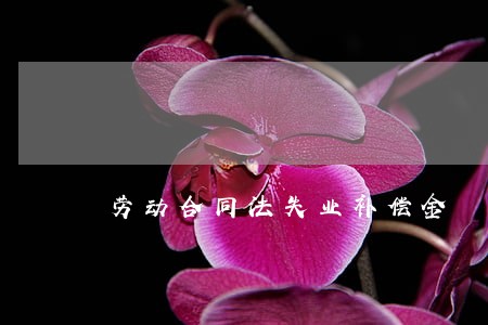 劳动合同法失业补偿金