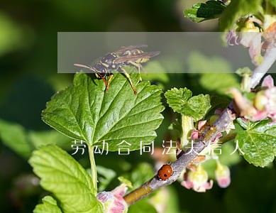 劳动合同法失信人 劳动合同法失信人