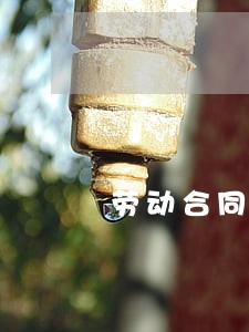 劳动合同法婚假有带薪 劳动合同法婚假有带薪