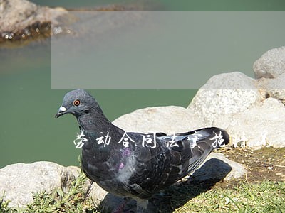 劳动合同法实施情况 劳动合同法实施情况
