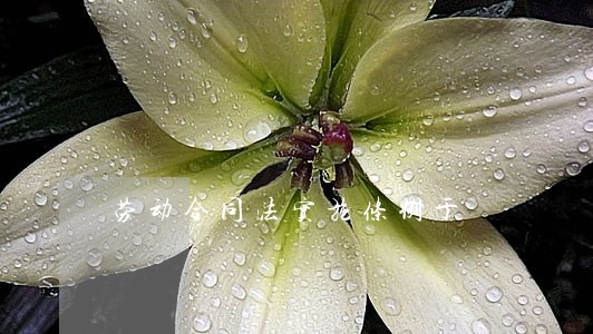 劳动合同法实施条例于